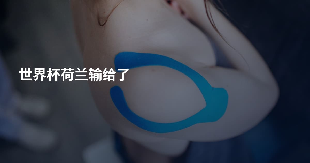 世界杯荷兰输给了