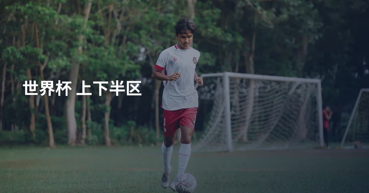 世界杯 上下半区
