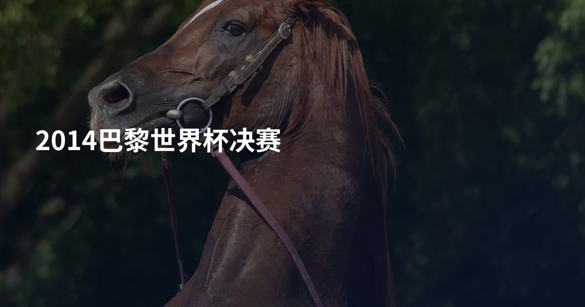 2014巴黎世界杯决赛