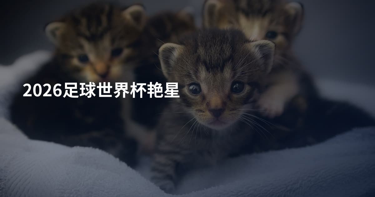 2026足球世界杯艳星