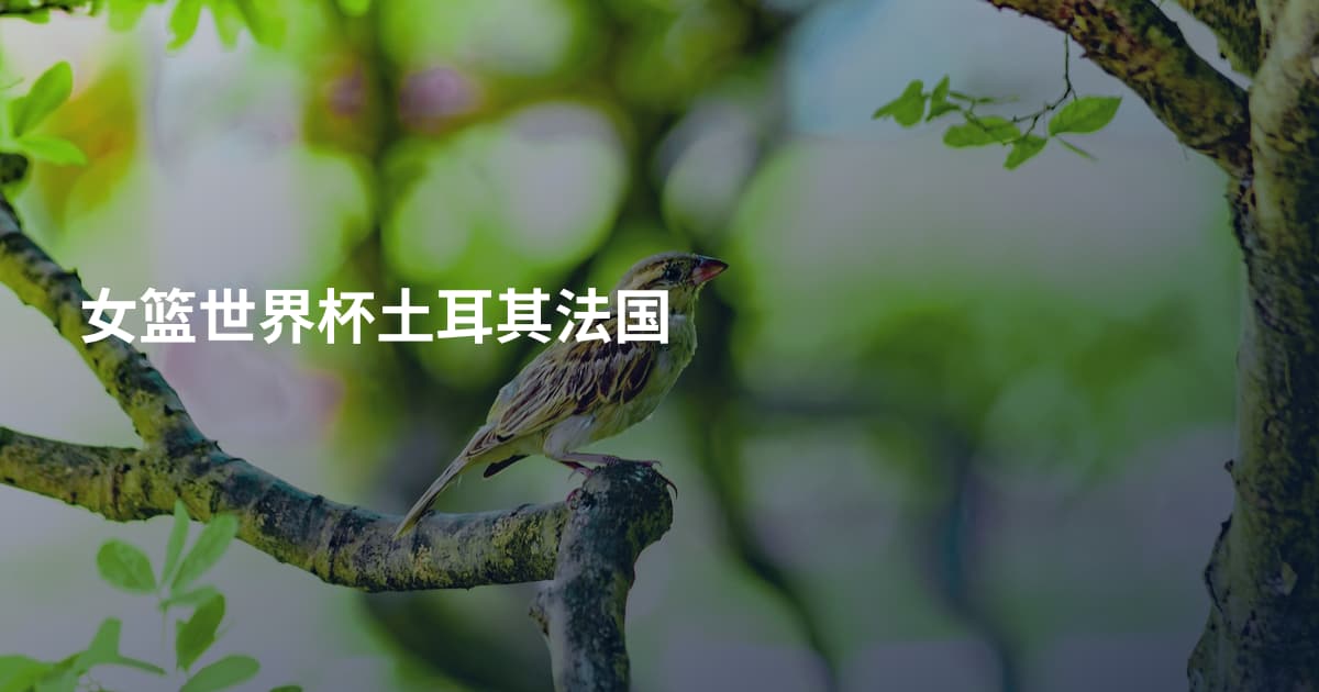 女篮世界杯土耳其法国