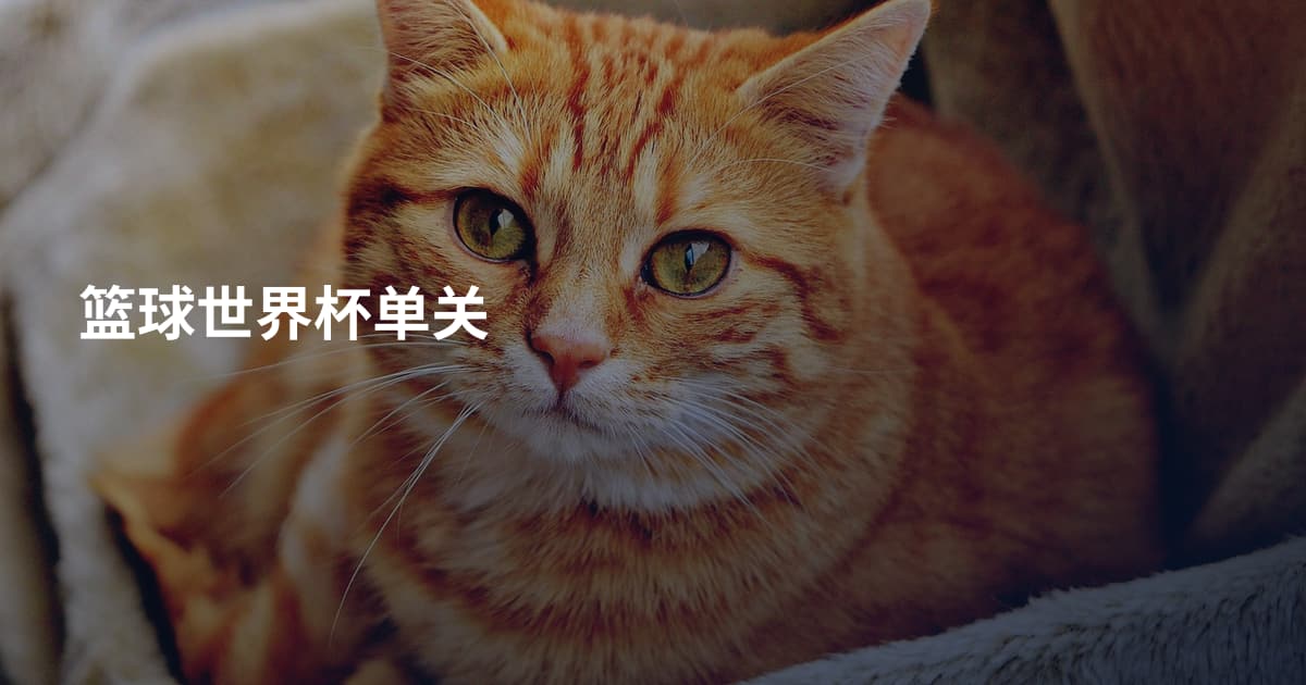 篮球世界杯单关