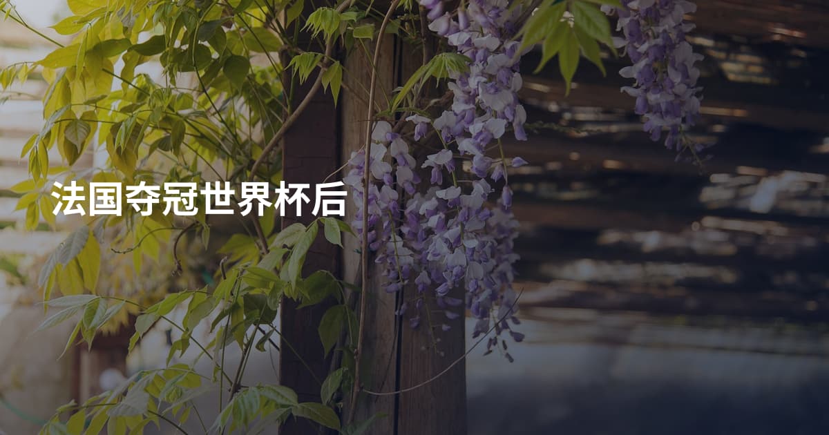 法国夺冠世界杯后
