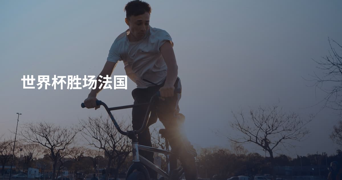 世界杯胜场法国