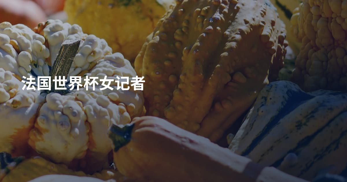 法国世界杯女记者