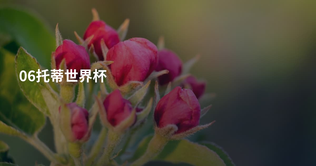 06托蒂世界杯