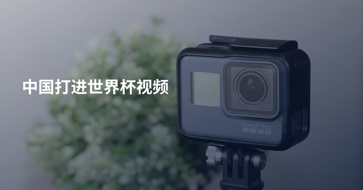 中国打进世界杯视频