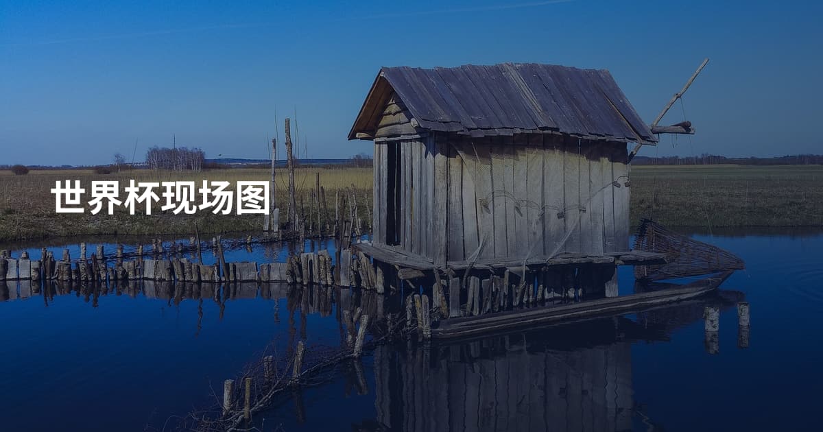 世界杯现场图