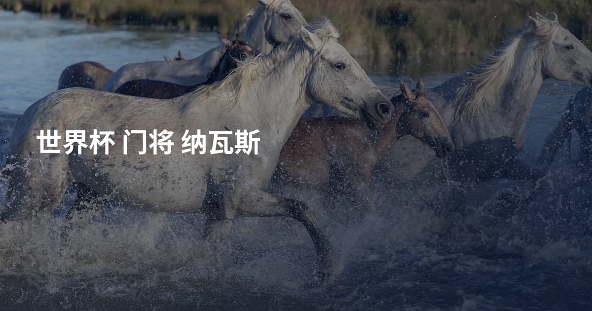 世界杯 门将 纳瓦斯
