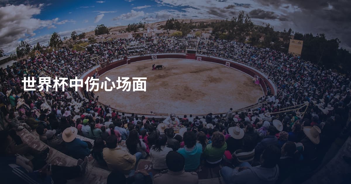 世界杯中伤心场面