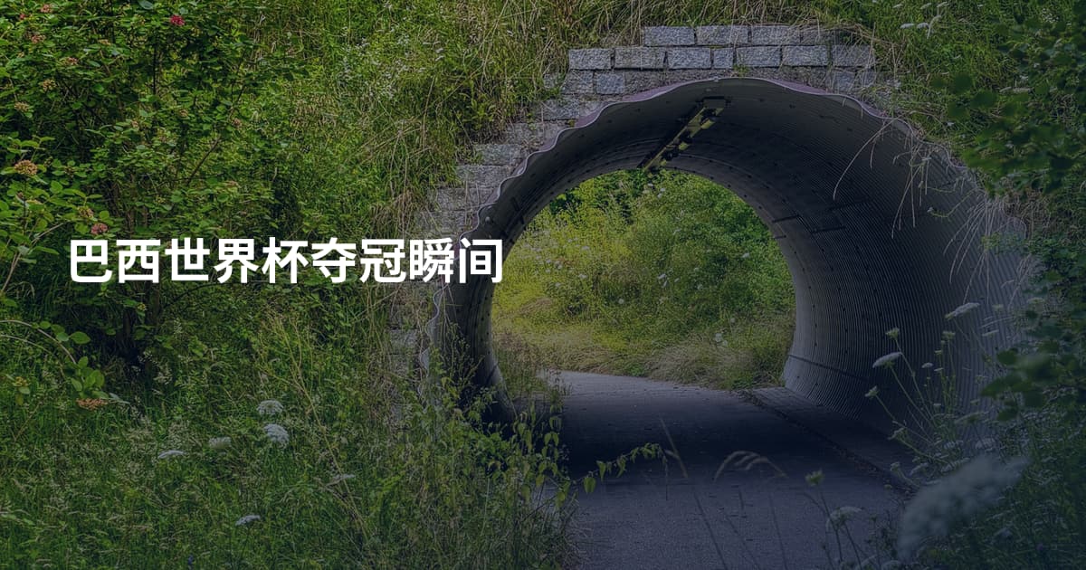 巴西世界杯夺冠瞬间