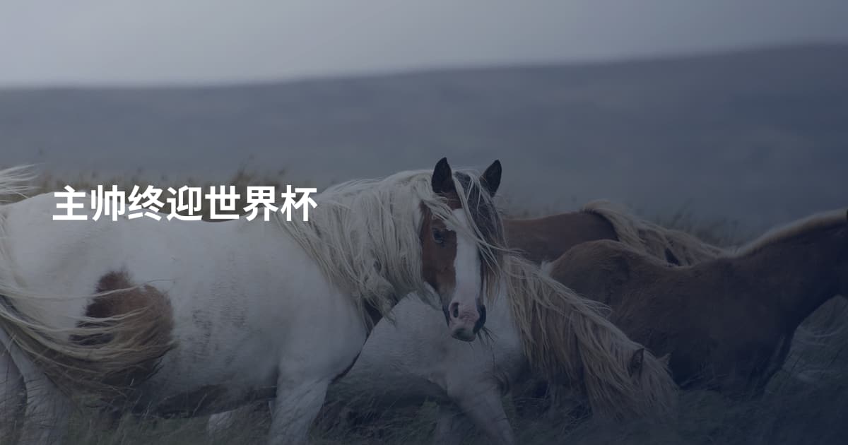 主帅终迎世界杯