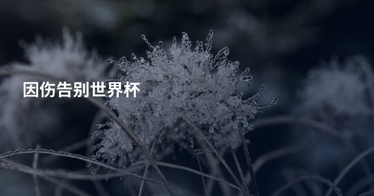 因伤告别世界杯