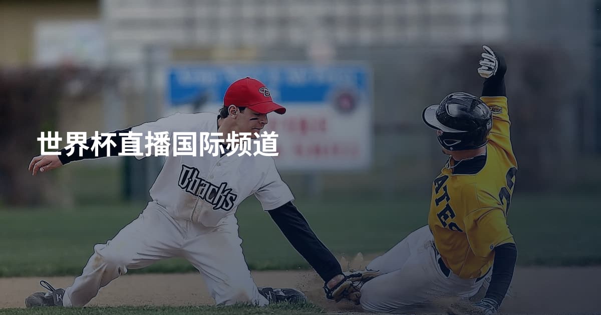 世界杯直播国际频道