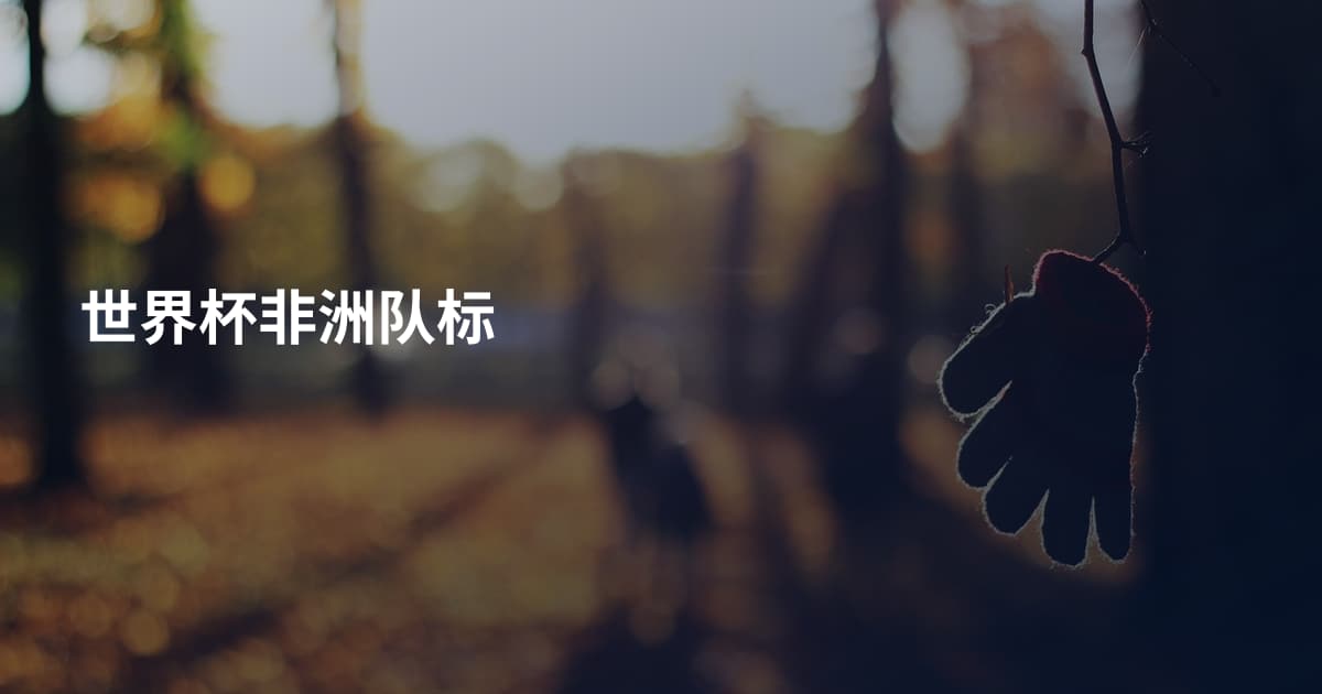 世界杯非洲队标