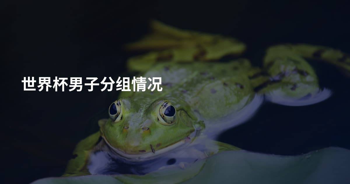 世界杯男子分组情况