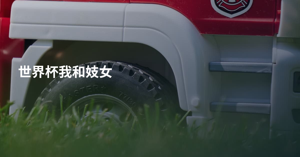 世界杯我和妓女