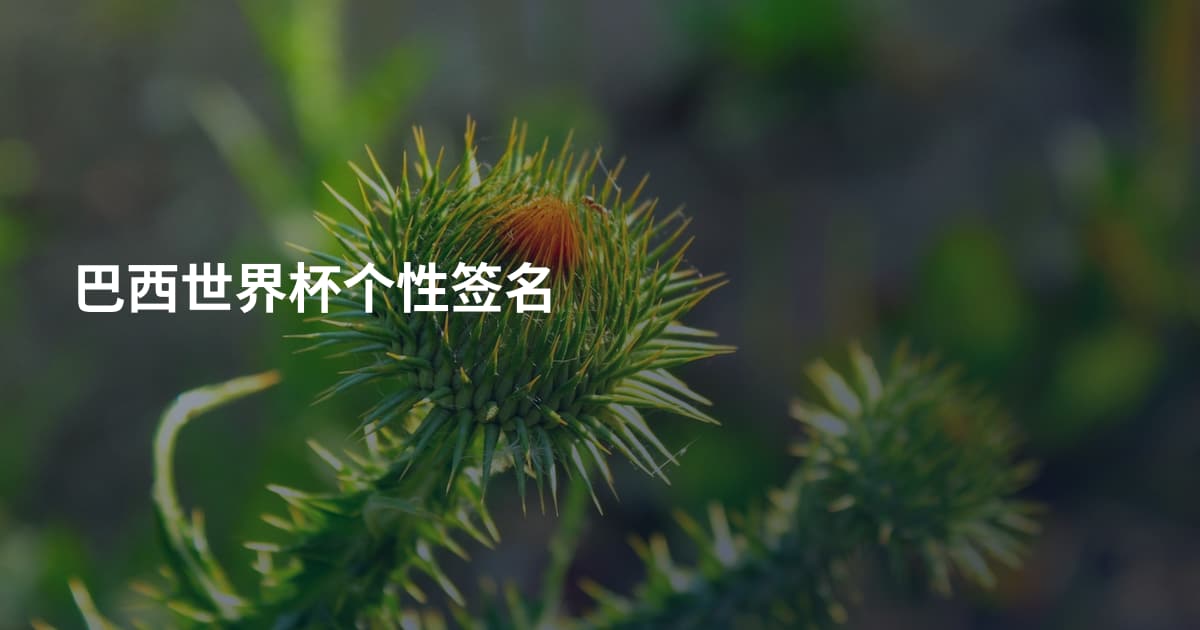 巴西世界杯个性签名
