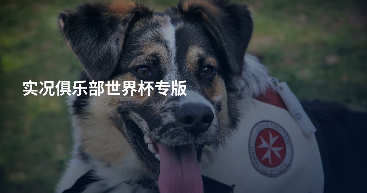 实况俱乐部世界杯专版