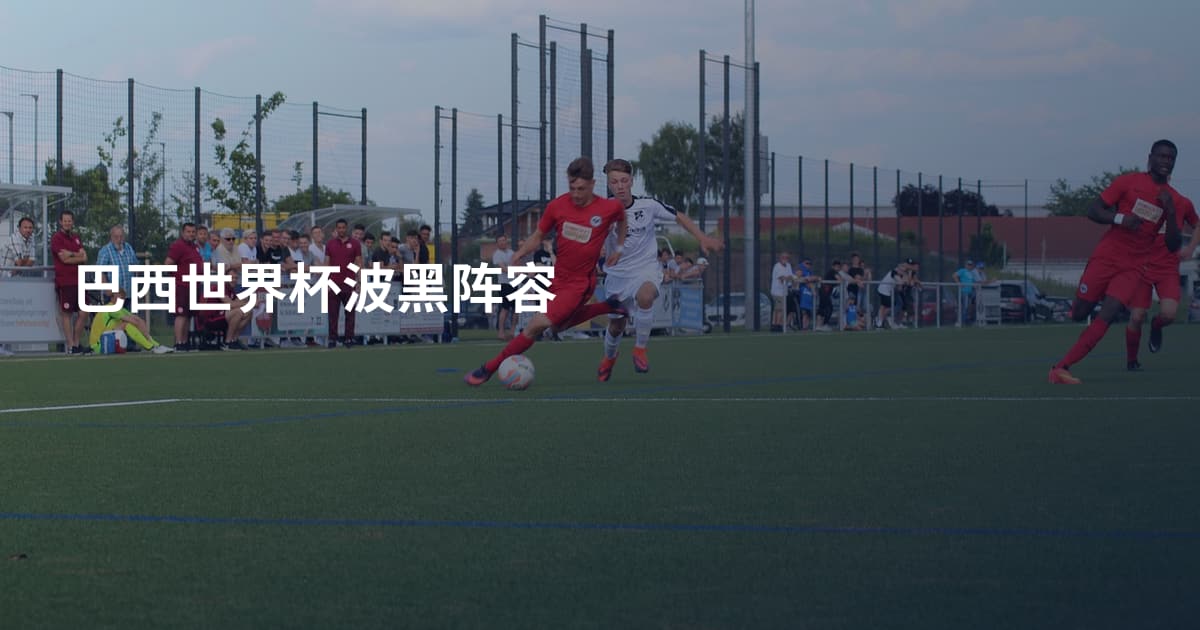 巴西世界杯波黑阵容