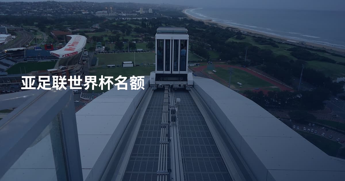 亚足联世界杯名额