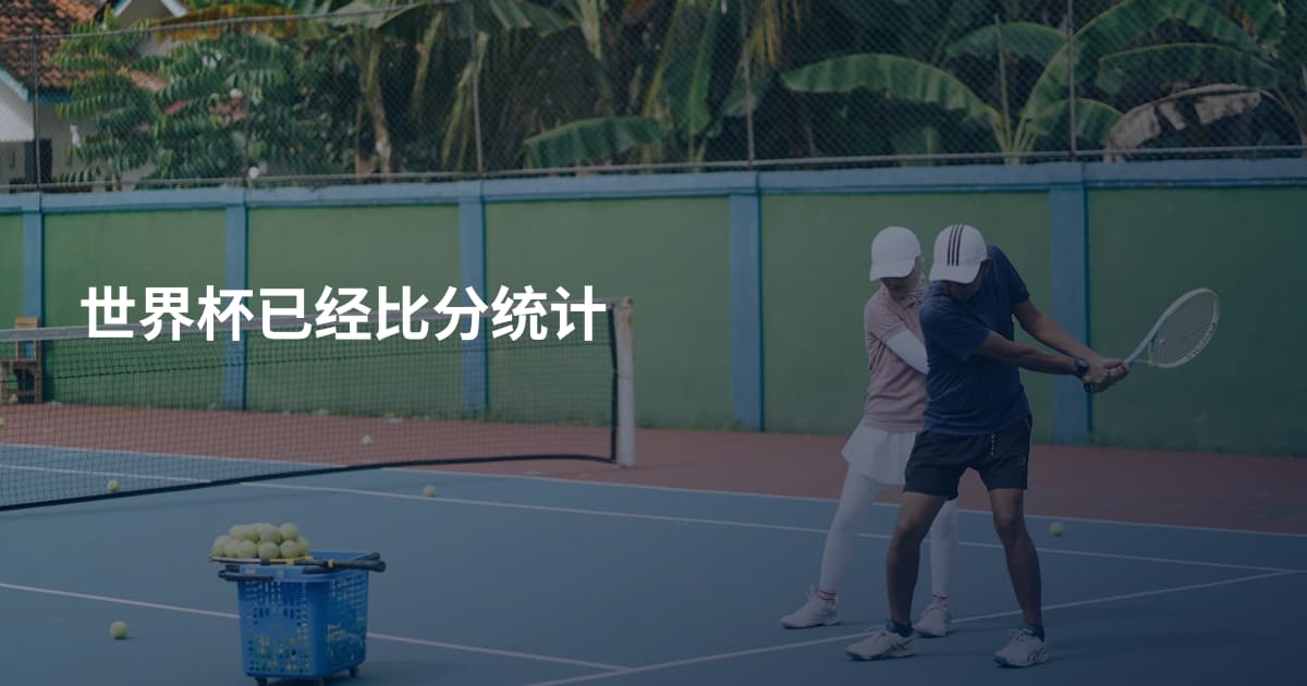世界杯已经比分统计