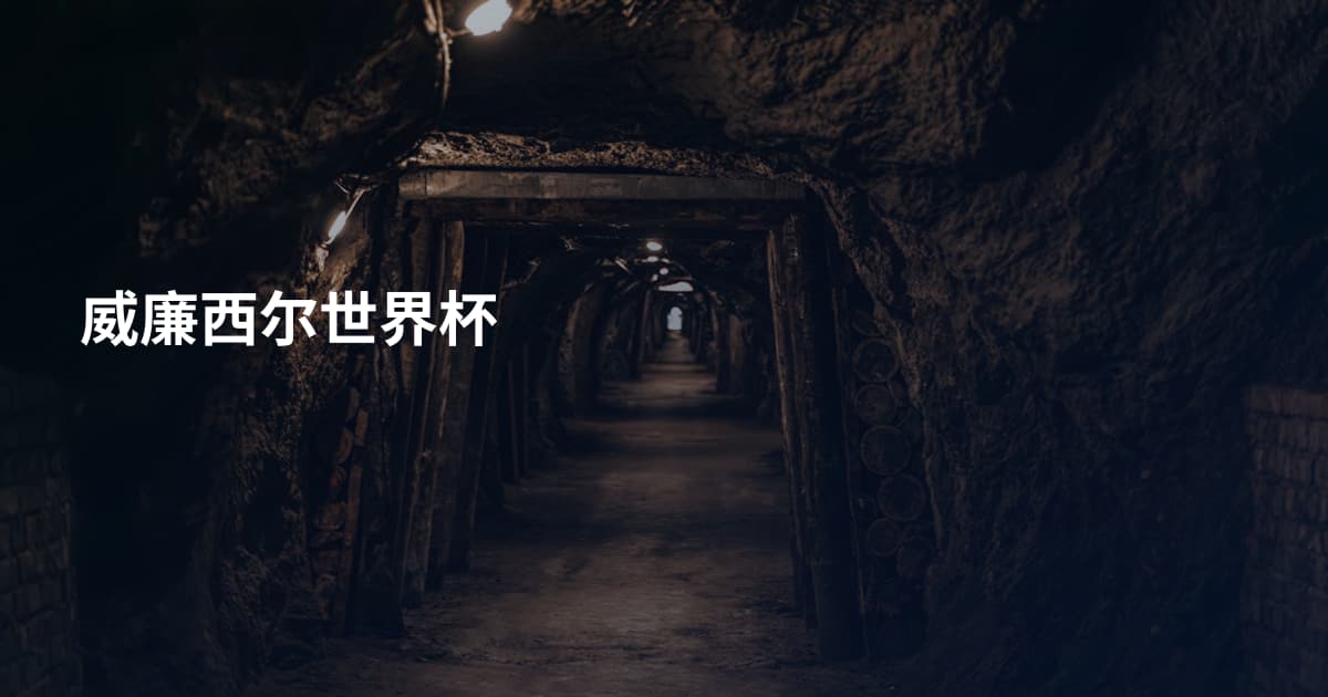威廉西尔世界杯