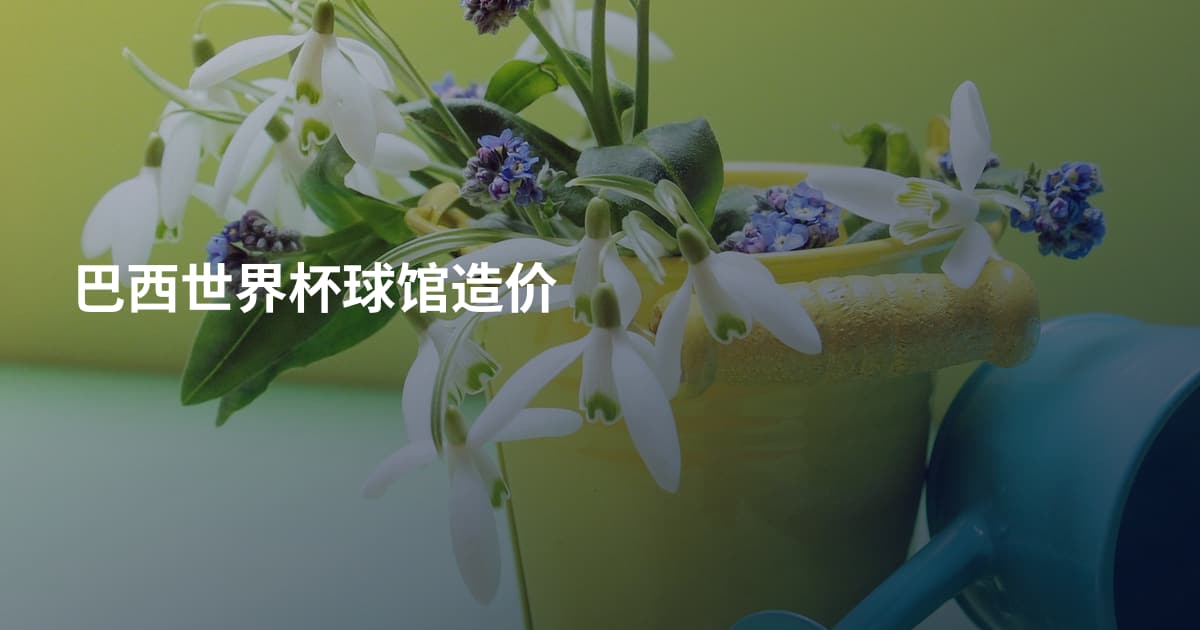 巴西世界杯球馆造价