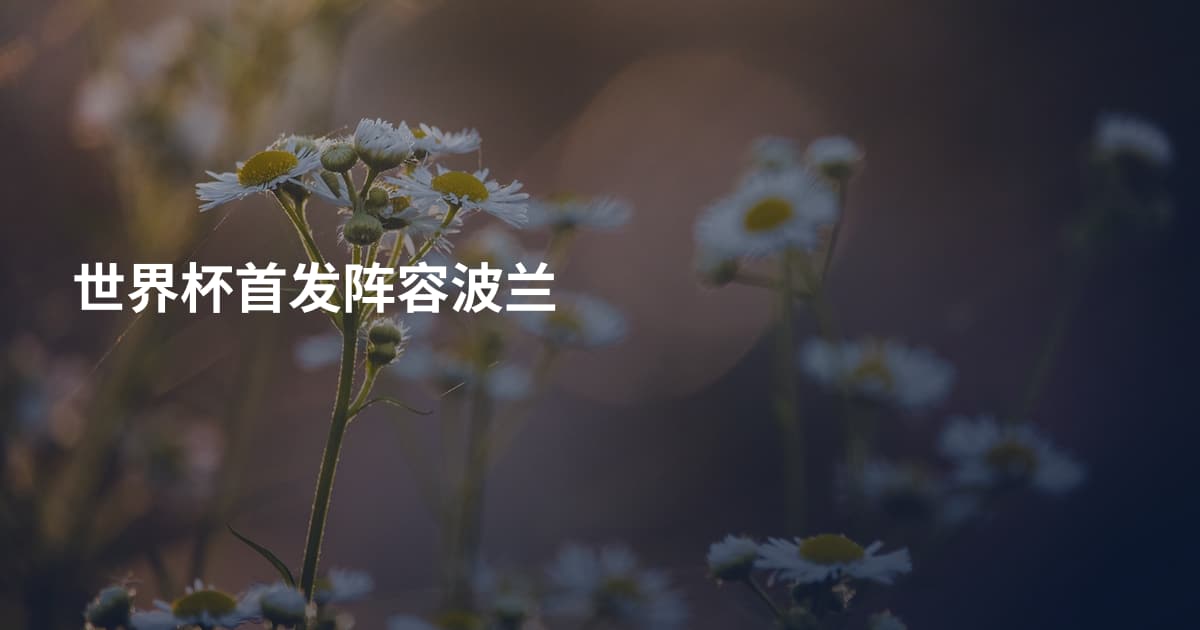 世界杯首发阵容波兰