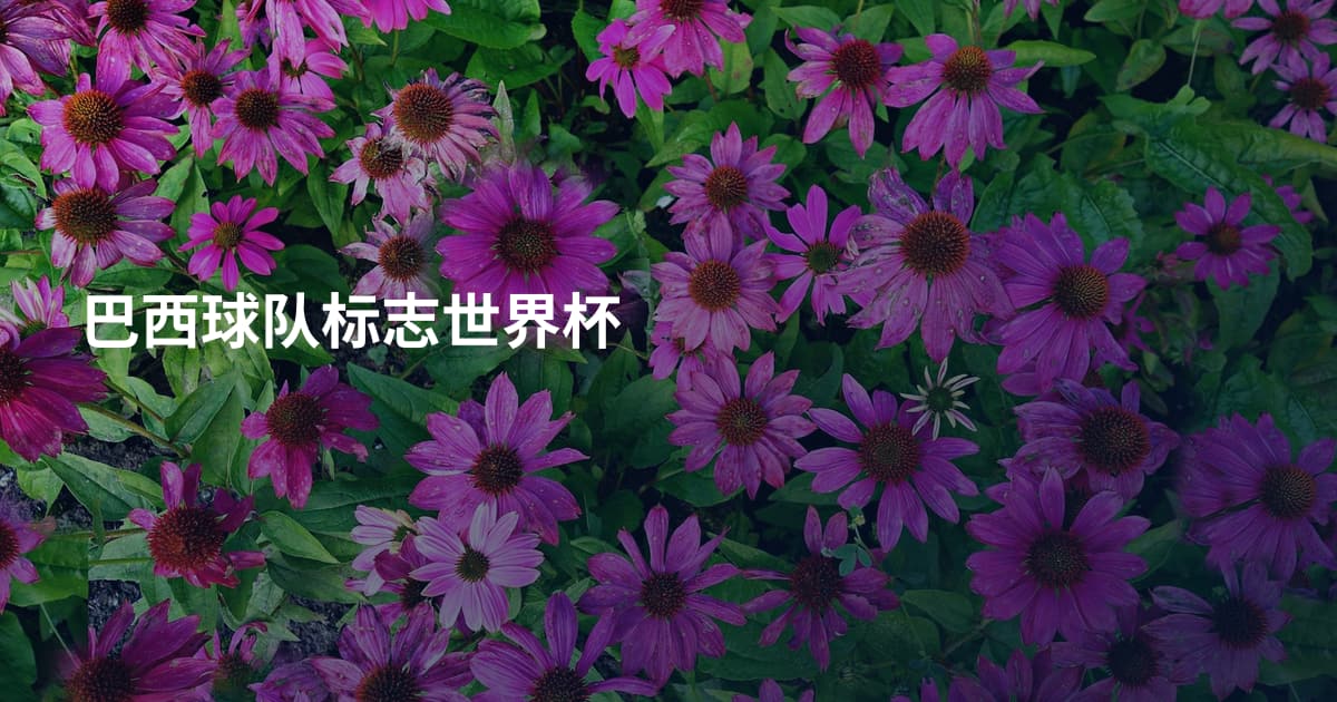 巴西球队标志世界杯