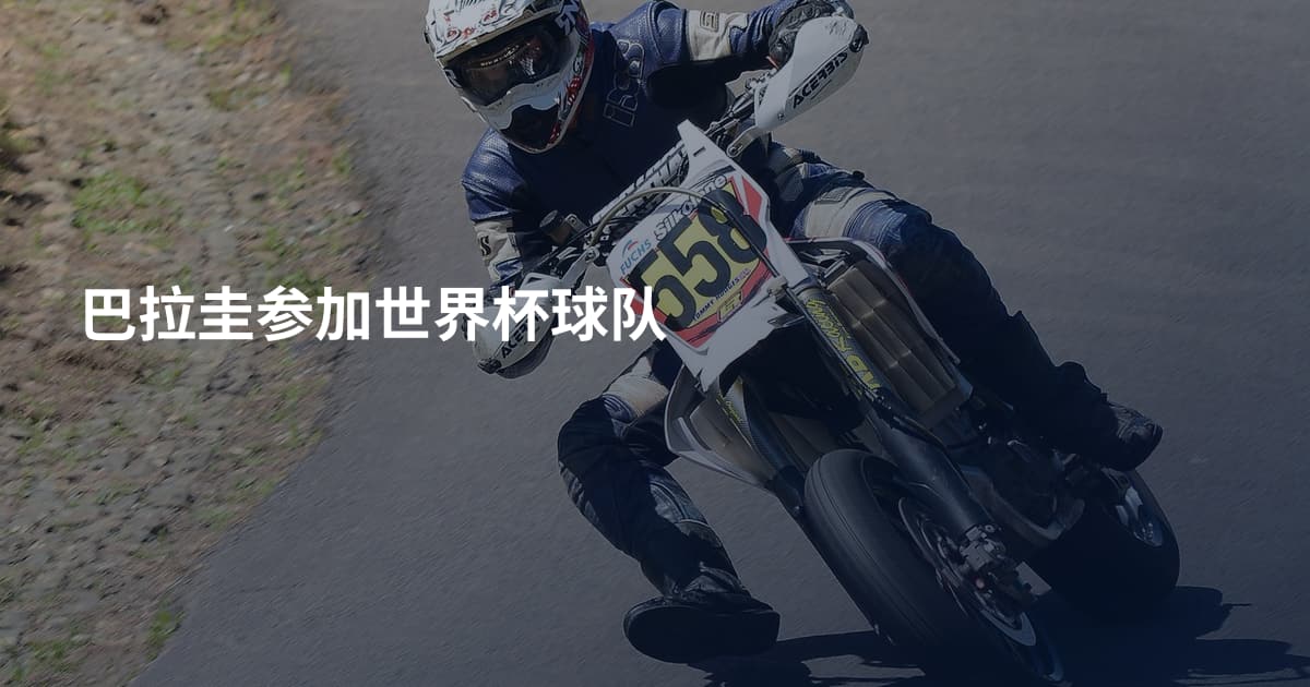 巴拉圭参加世界杯球队