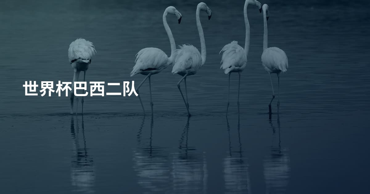 世界杯巴西二队