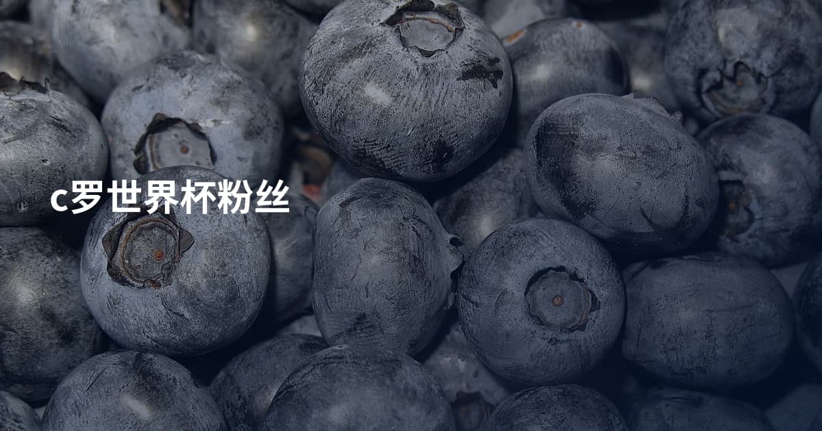 c罗世界杯粉丝