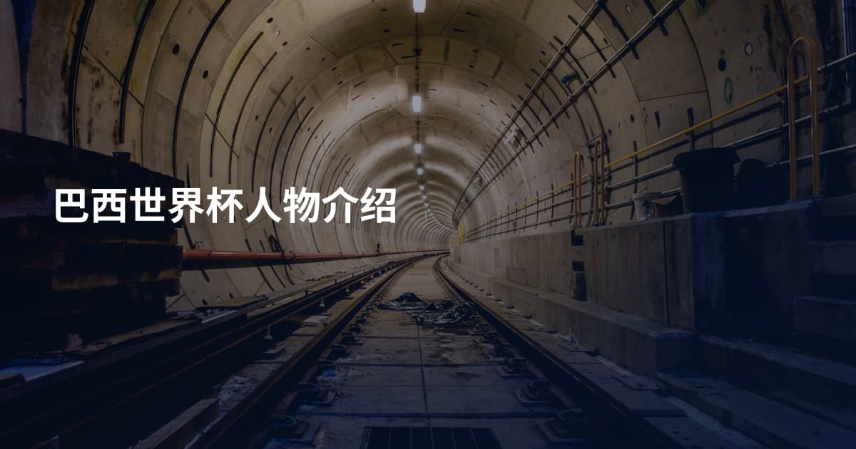 巴西世界杯人物介绍