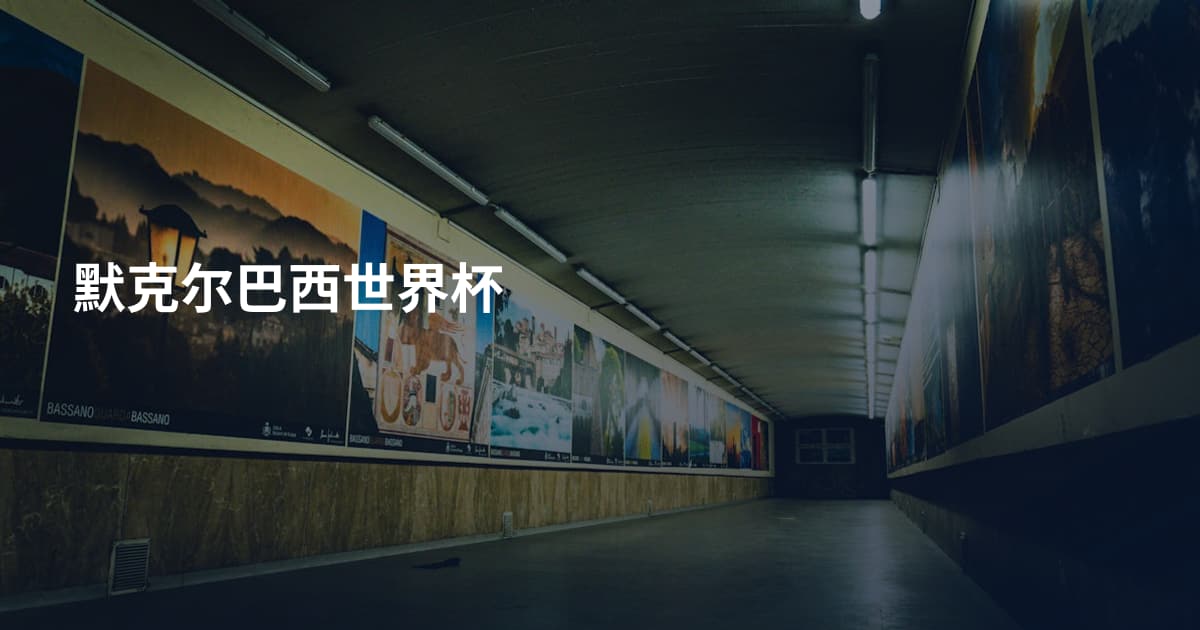 默克尔巴西世界杯
