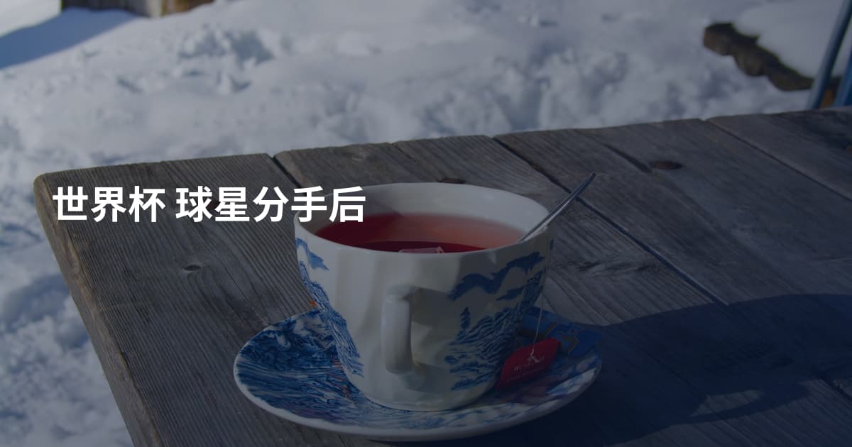 世界杯 球星分手后