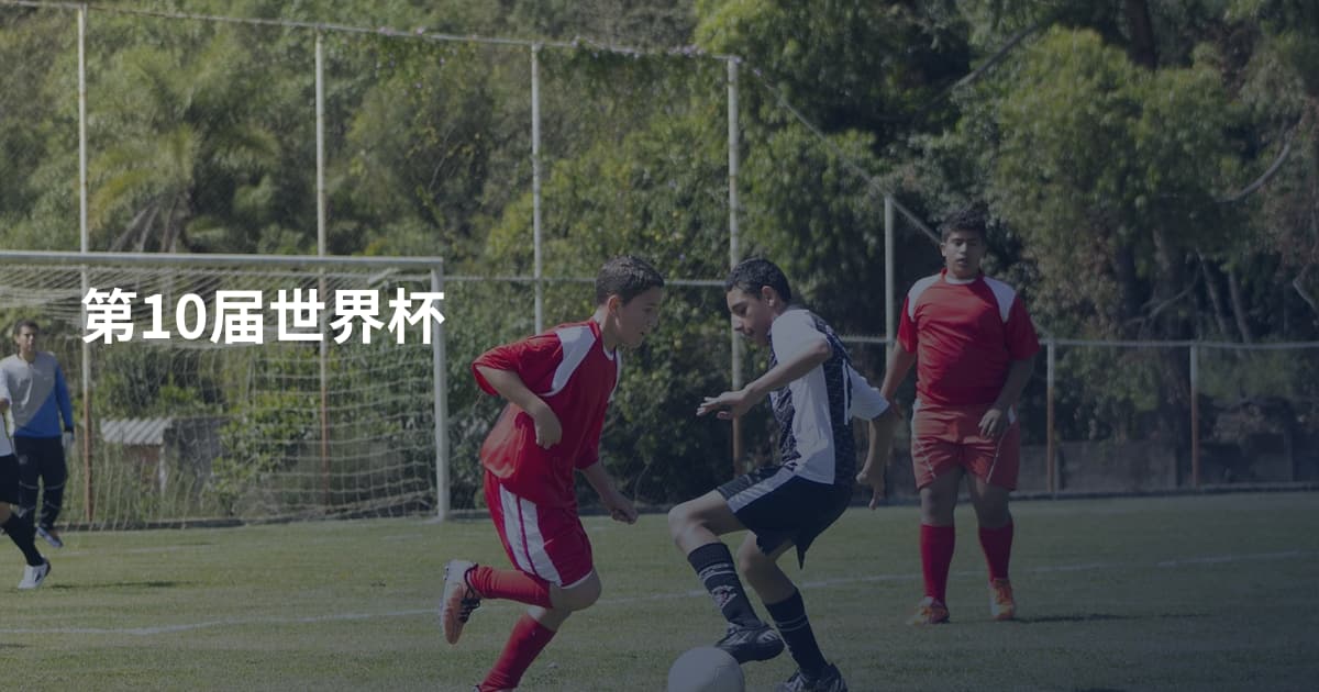 第10届世界杯