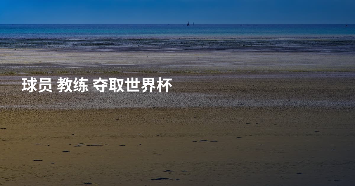 球员 教练 夺取世界杯