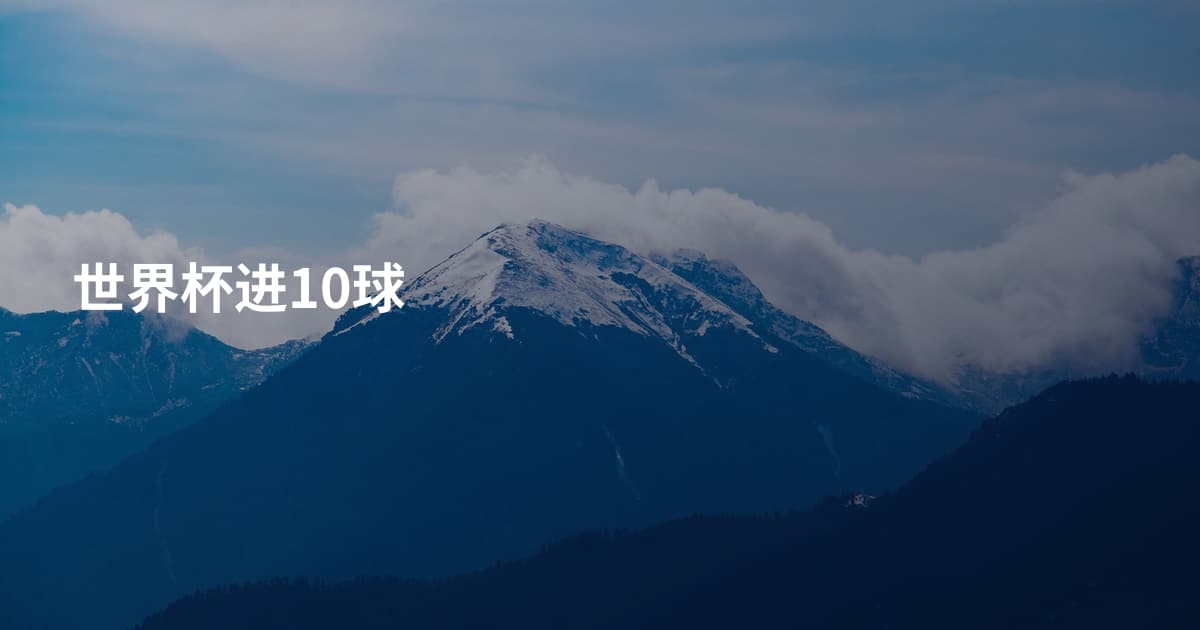 世界杯进10球