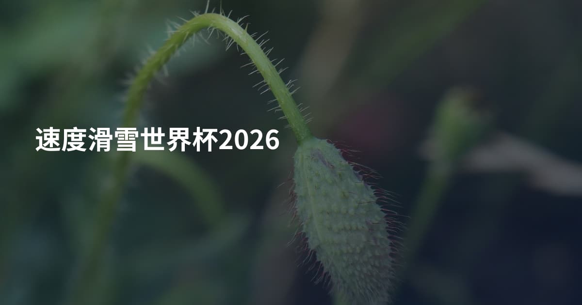 速度滑雪世界杯2026