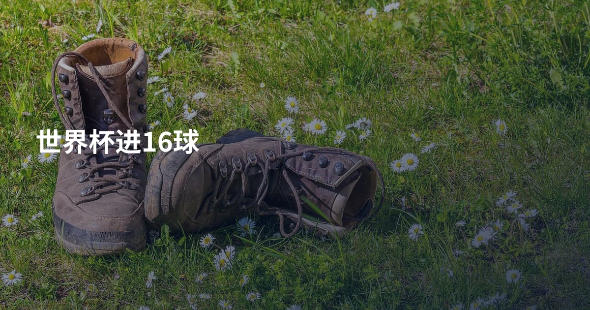 世界杯进16球