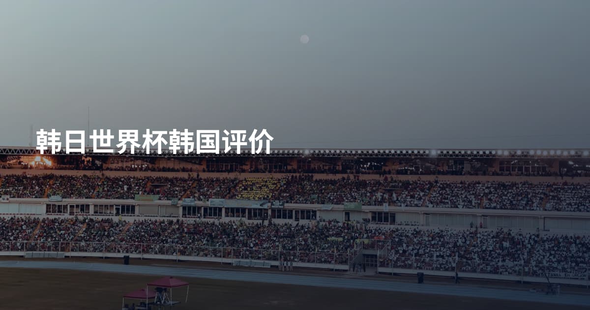 韩日世界杯韩国评价