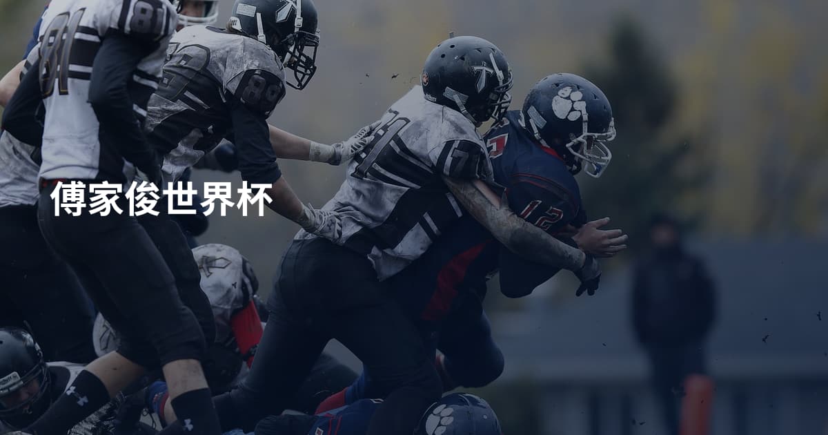 傅家俊世界杯