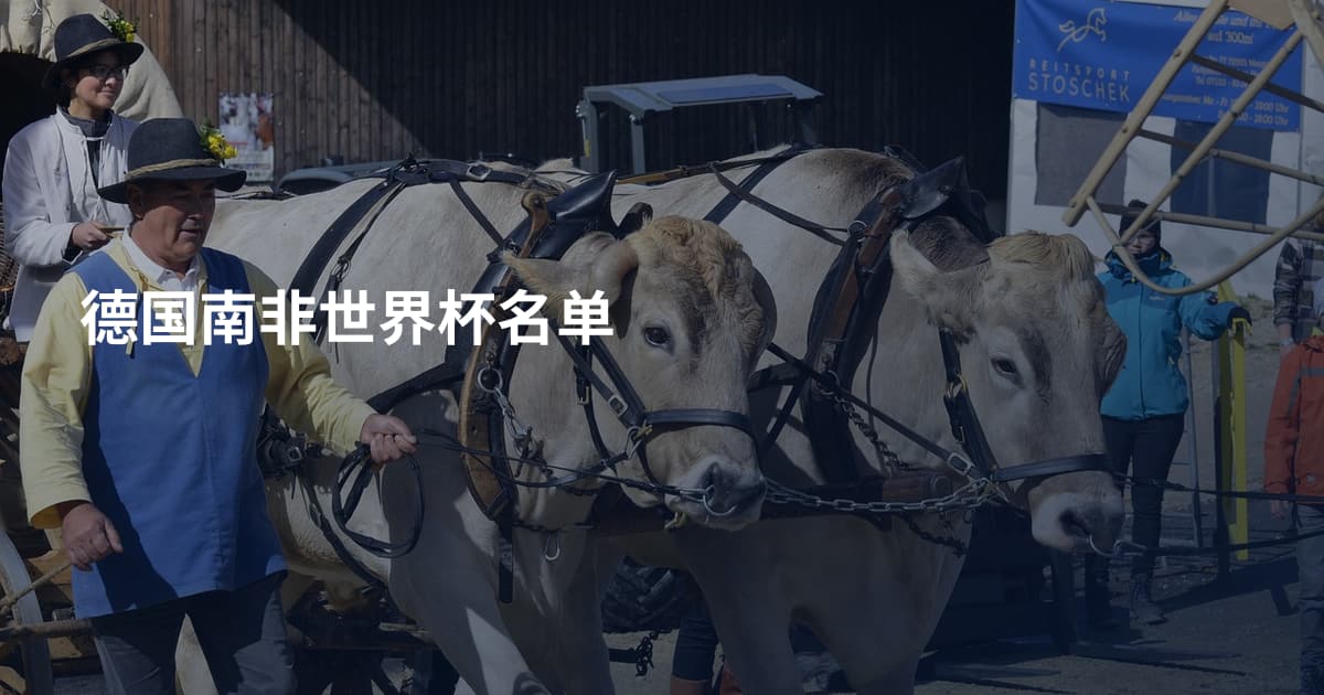 德国南非世界杯名单