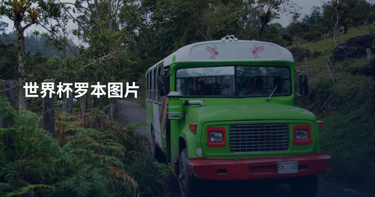 世界杯罗本图片