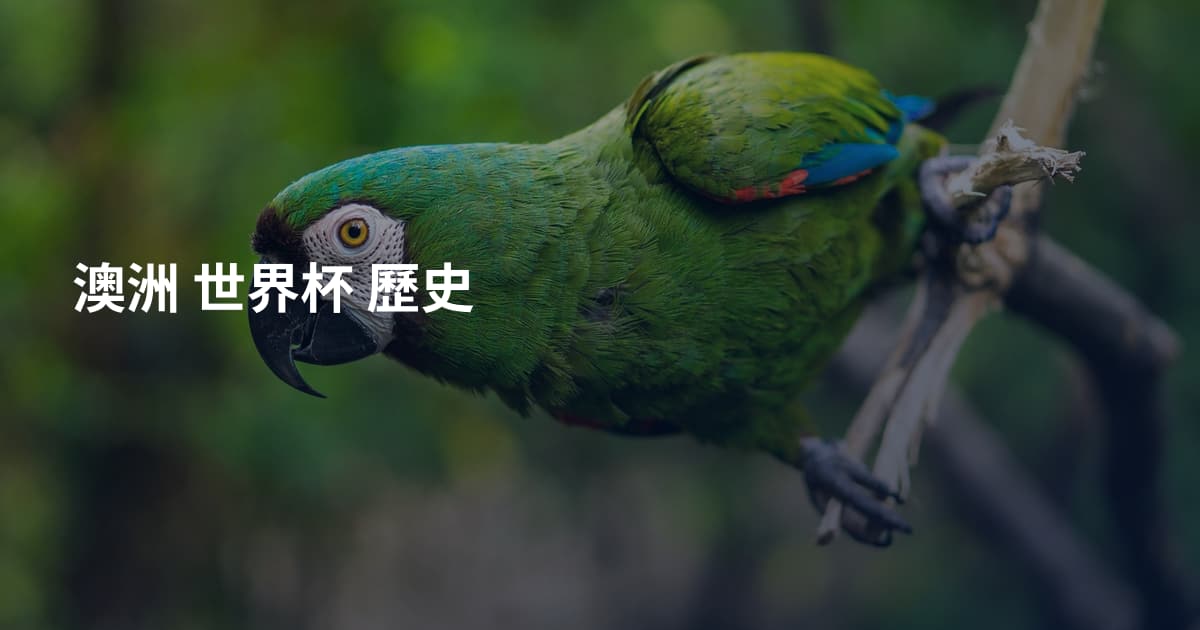 澳洲 世界杯 歷史