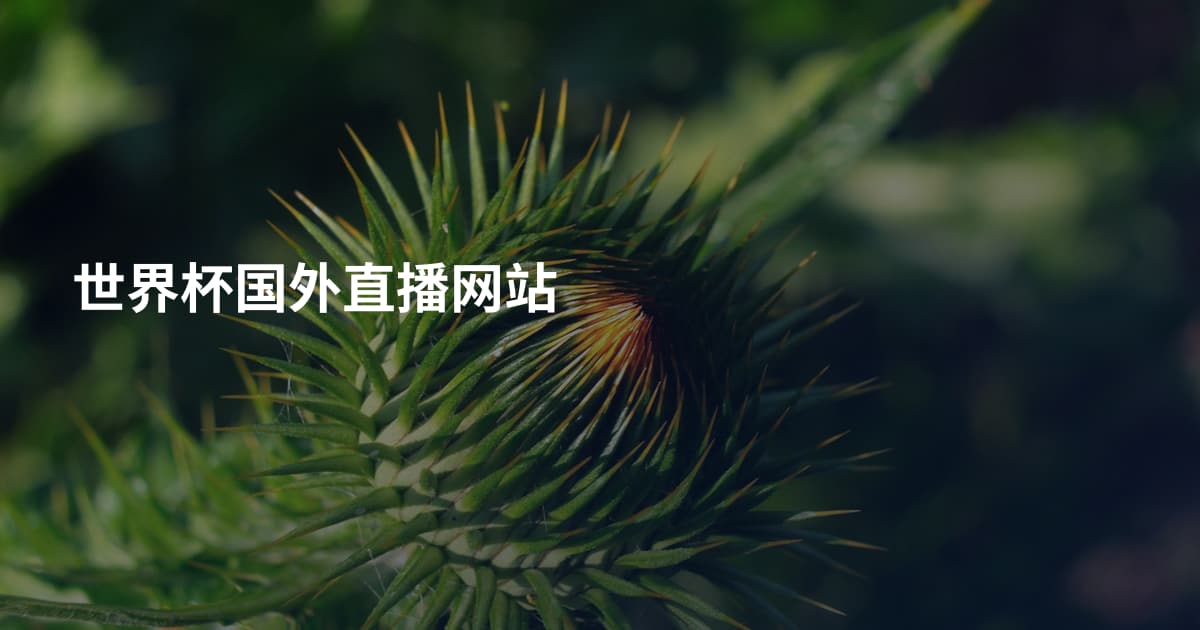 世界杯国外直播网站