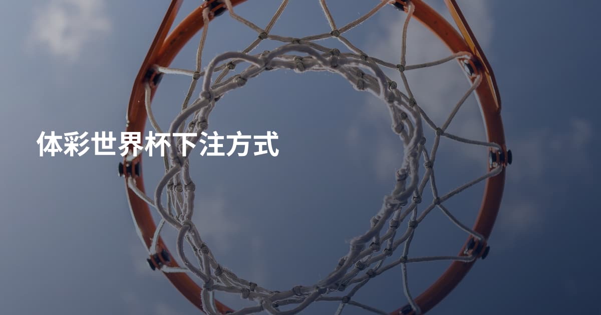 体彩世界杯下注方式