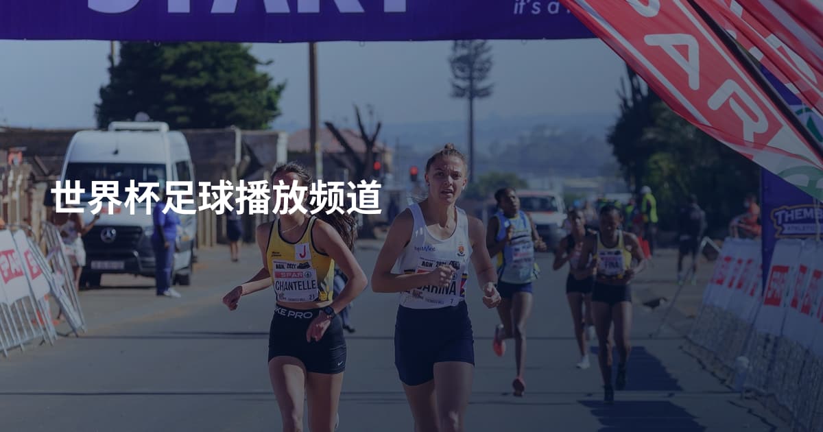 世界杯足球播放频道