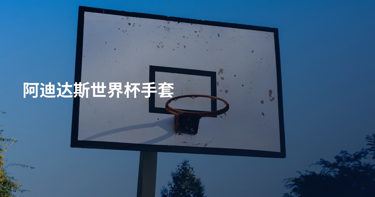 阿迪达斯世界杯手套